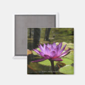 Water Lily Magnet (Voorkant / Achterkant)