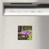 Water Lily Magnet (Insitu (Vaatwasser))