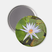 Water Lily Magnet (Voorkant / Achterkant)