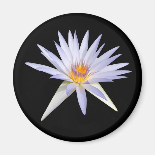Water Lily Magnet (Voorkant)