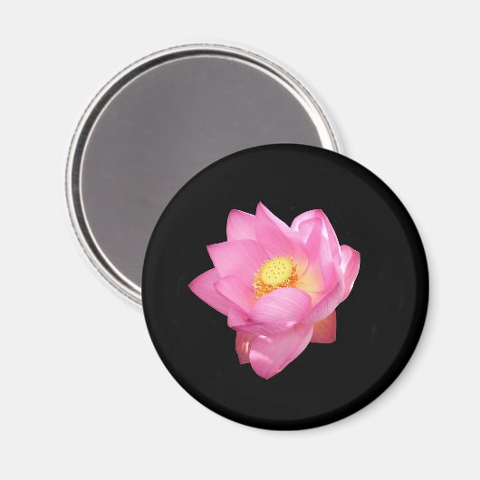 Water Lily Magnet (Voorkant / Achterkant)