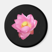 Water Lily Magnet (Voorkant)