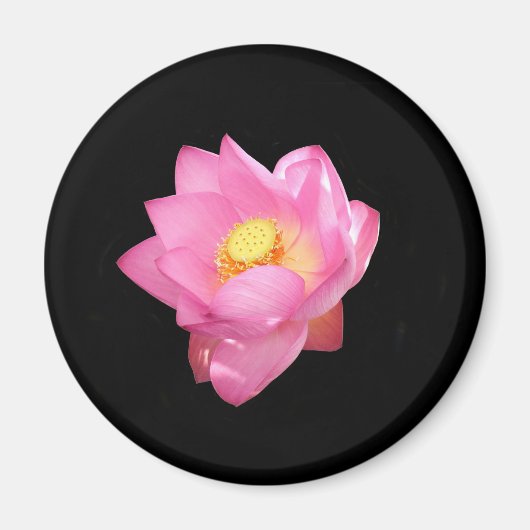 Water Lily Magnet (Voorkant)