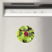 Water Lily Magnet (Insitu (Vaatwasser))