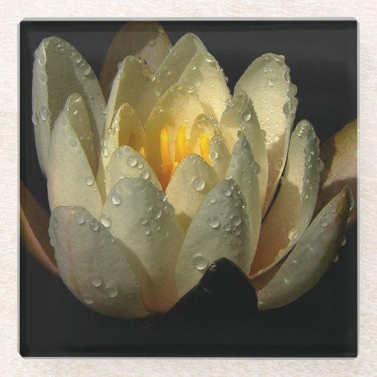Water Lily met dauwdruppels Glazen Onderzetter (Voorkant)