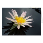 Water Lily met Dragonfly (Voorkant Horizontaal)