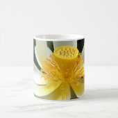 Water Lily Mok (Center)