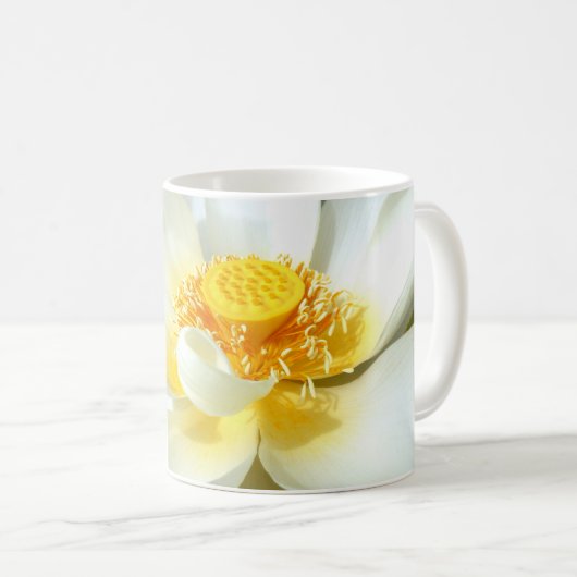 Water Lily Mok (Voorkant rechts)