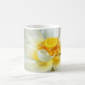 Water Lily Mok (Center)