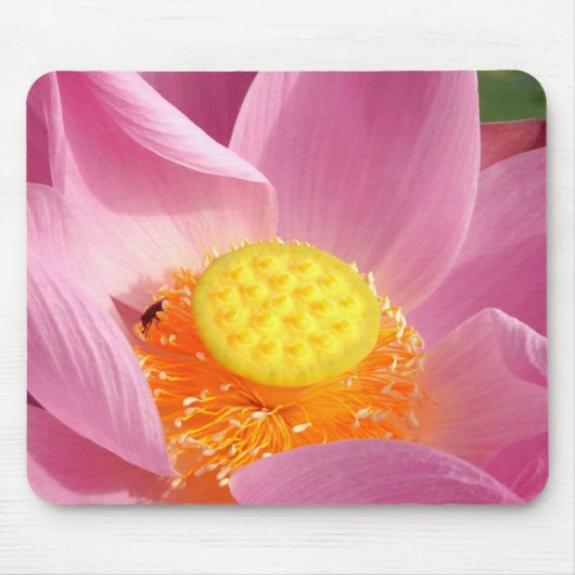 Water Lily Mouse Mat Muismat (Voorkant)