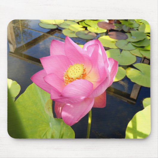 Water Lily Mouse Mat Muismat (Voorkant)