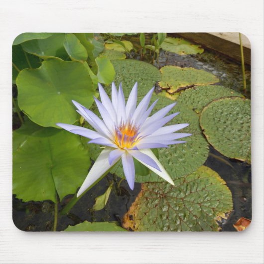 Water Lily Mouse Mat Muismat (Voorkant)