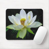Water Lily Mousepad Muismat (Met muis)