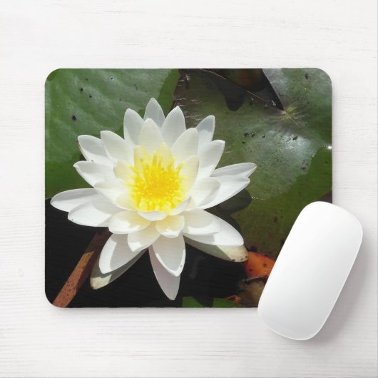 Water Lily Muismat (Met muis)