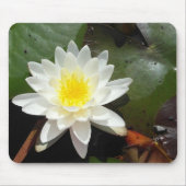 Water Lily Muismat (Voorkant)