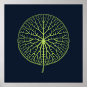 Water Lily | Muurafdrukken voor kinderen Poster (Voorkant)