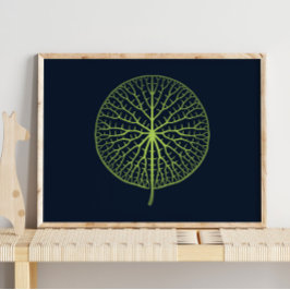 Water Lily | Muurafdrukken voor kinderen Poster