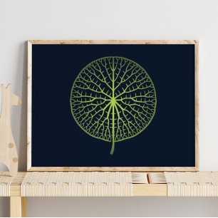 Water Lily   Muurafdrukken voor kinderen Poster