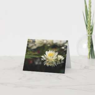 Water Lily Note Card Kaart
