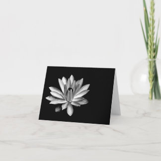 Water Lily Note Card Kaart