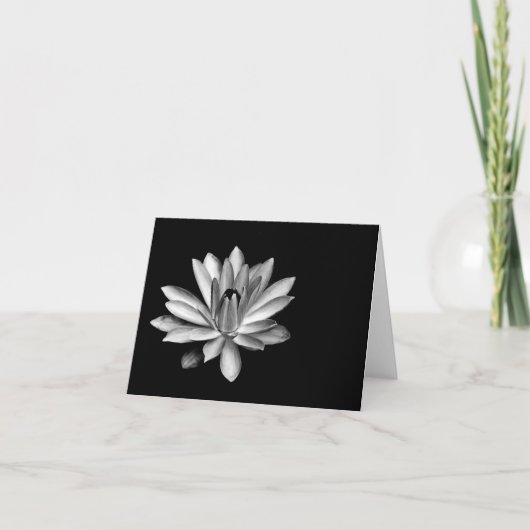 Water Lily Note Card Kaart (Voorkant)