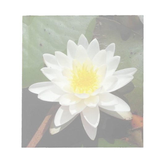 Water Lily Notitieblok (Voorkant)