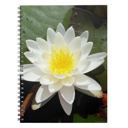 Water Lily Notitieboek (Voorkant)