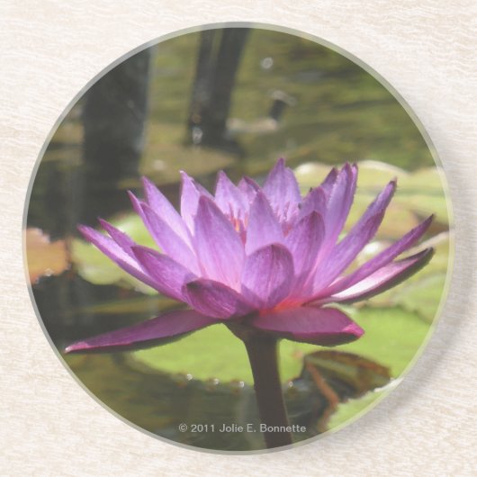 Water Lily Onderzetter (Voorkant)