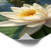 Water Lily Otter River Joy Poster (Hoek)