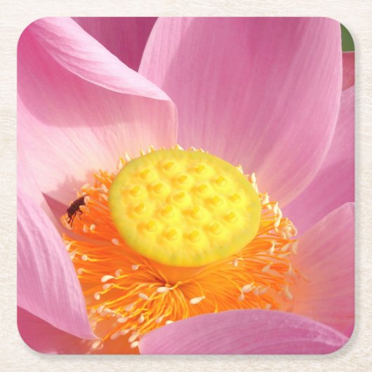 Water Lily Paper Onderzetter (Voorkant)