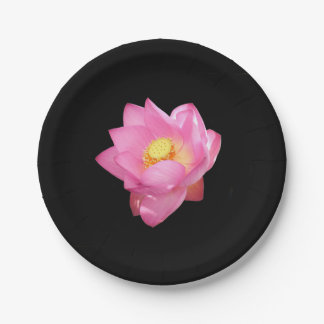 Water Lily Paper Plate Papieren Bordje