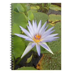 Water Lily Photo Notitieboek