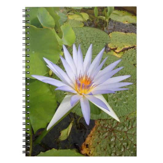 Water Lily Photo Notitieboek (Voorkant)