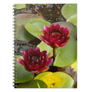 Water Lily Photo Notitieboek