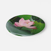 Water Lily Pink Papieren Bordje (Gekanteld)