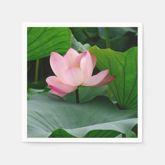 Water Lily Pink Servet (Voorkant)