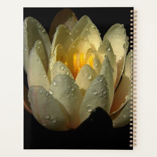 Water Lily Planner (Achterkant)