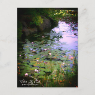 Water-Lily Pond:Briefkaart Briefkaart