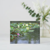 Water-Lily Pond:Briefkaart Briefkaart (Staand voorkant)