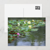 Water-Lily Pond:Briefkaart Briefkaart (Voorkant / Achterkant)