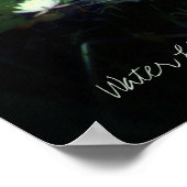 Water Lily Pond Poster (Hoek)