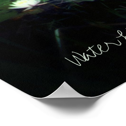 Water Lily Pond Poster (Hoek)