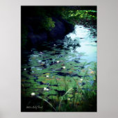 Water Lily Pond Poster (Voorkant)