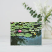 Water-Lily Pond :Postkaart Briefkaart (Staand voorkant)