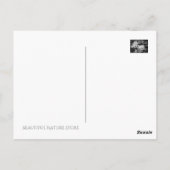 Water-Lily Pond :Postkaart Briefkaart (Achterkant)