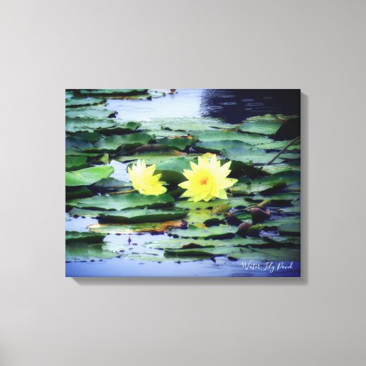 Water Lily Pond:Premium Canvas Afdruk (Voorkant)