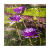 Water Lily Pond Tegeltje (Voorkant)