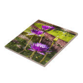 Water Lily Pond Tegeltje (Zijkant)