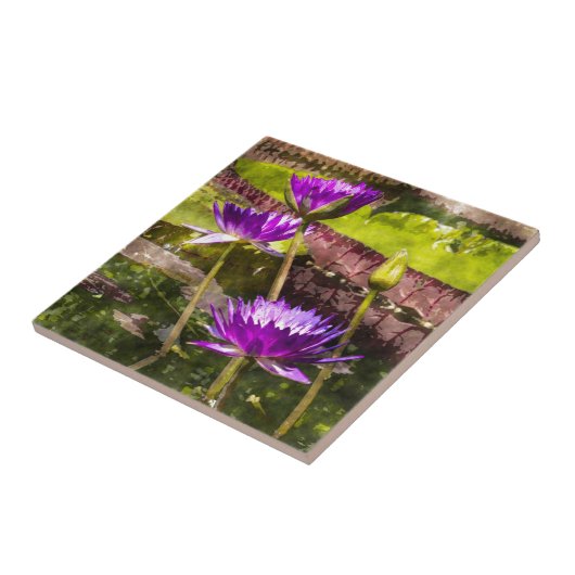 Water Lily Pond Tegeltje (Zijkant)