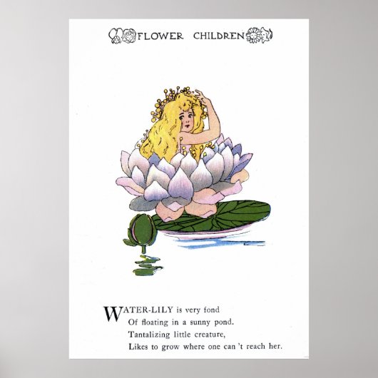 Water-Lily Poster (Voorkant)